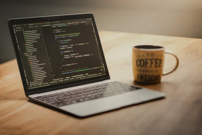 Frontend разработчик: рабочая среда направления